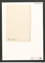 Diatomeae indet. Zeichnungen Sammlung Grunow (NHMW-BOT-W0370773)